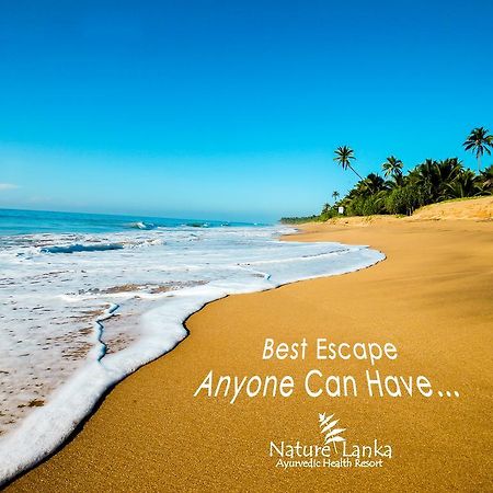 Nature Lanka Ayurveda Resort - All Meals And Ayurveda Treatments With Yoga 탕갈레 외부 사진