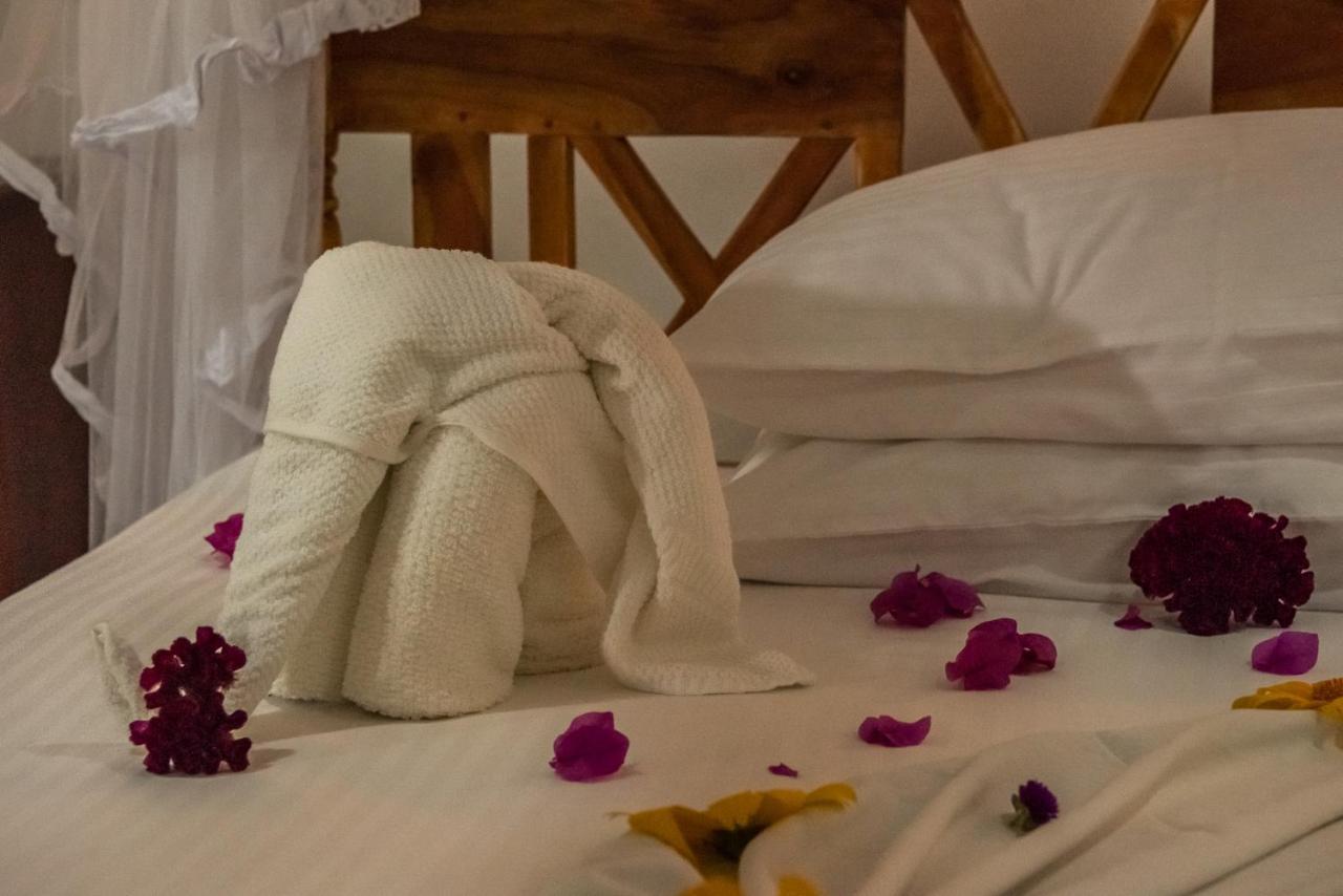 Nature Lanka Ayurveda Resort - All Meals And Ayurveda Treatments With Yoga 탕갈레 외부 사진