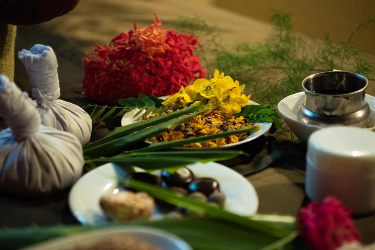 Nature Lanka Ayurveda Resort - All Meals And Ayurveda Treatments With Yoga 탕갈레 외부 사진