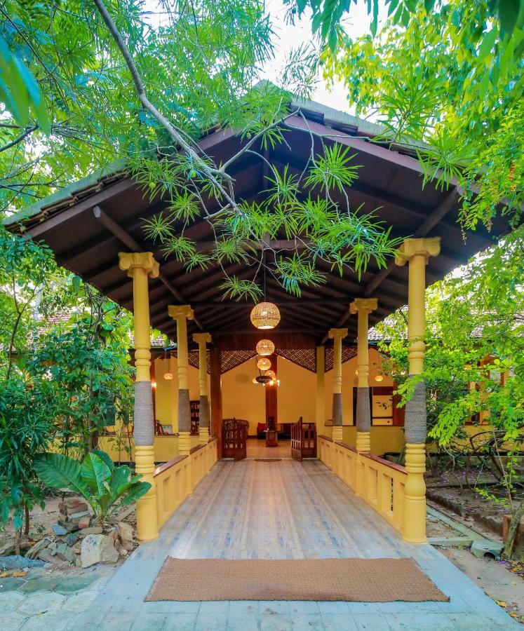 Nature Lanka Ayurveda Resort - All Meals And Ayurveda Treatments With Yoga 탕갈레 외부 사진