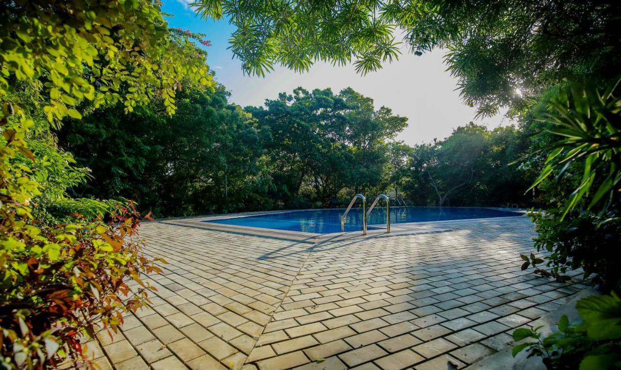 Nature Lanka Ayurveda Resort - All Meals And Ayurveda Treatments With Yoga 탕갈레 외부 사진