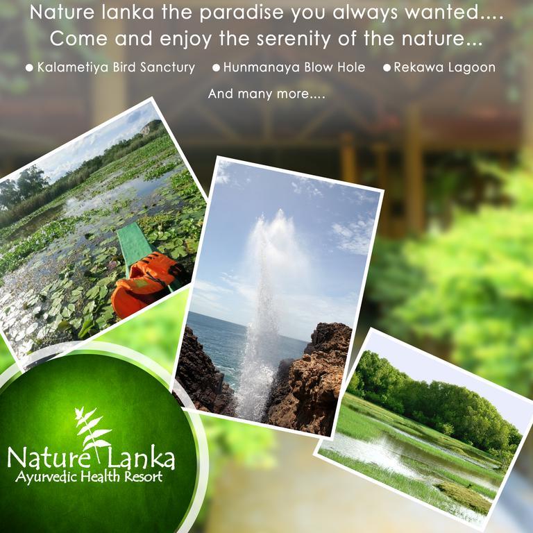 Nature Lanka Ayurveda Resort - All Meals And Ayurveda Treatments With Yoga 탕갈레 외부 사진
