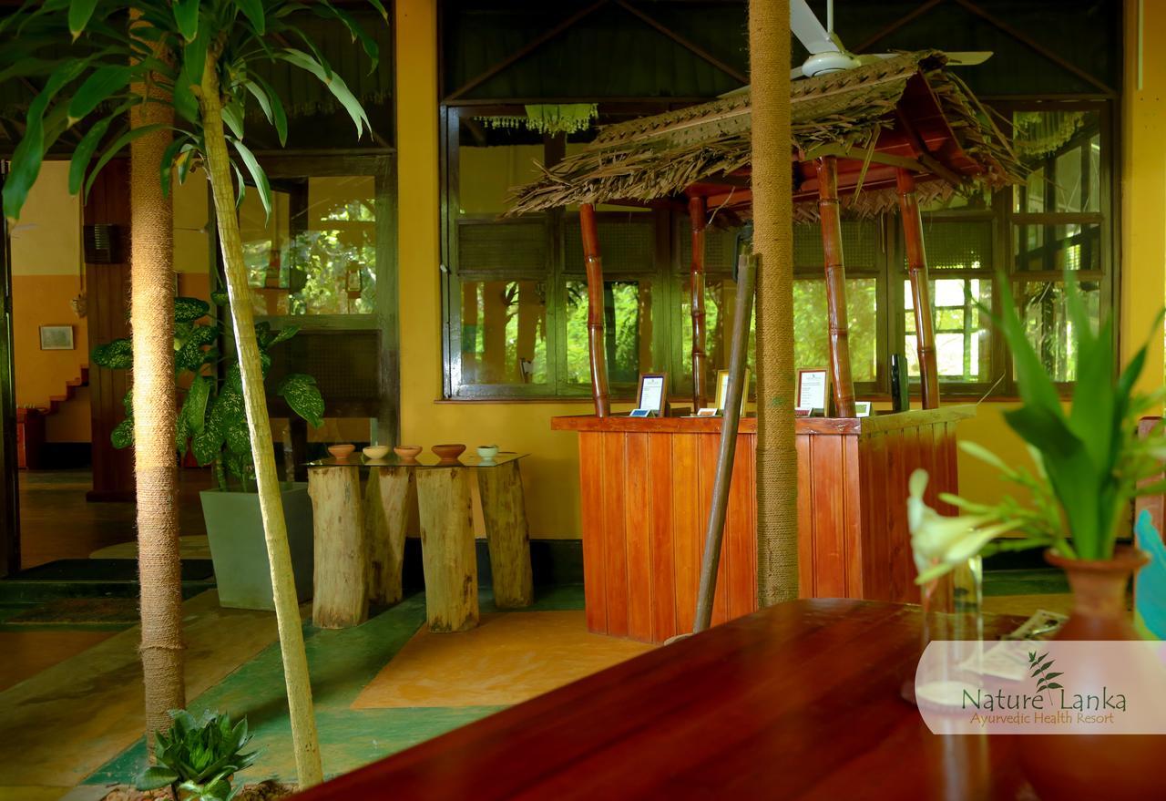 Nature Lanka Ayurveda Resort - All Meals And Ayurveda Treatments With Yoga 탕갈레 외부 사진