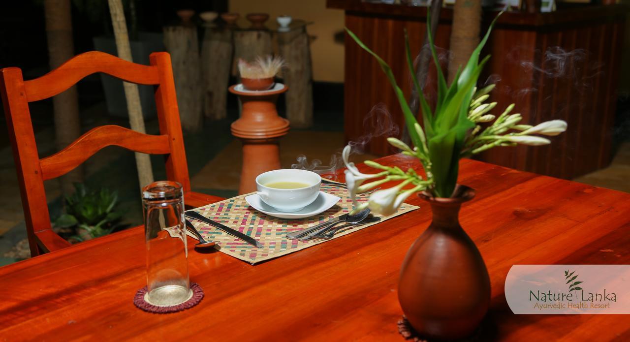 Nature Lanka Ayurveda Resort - All Meals And Ayurveda Treatments With Yoga 탕갈레 외부 사진