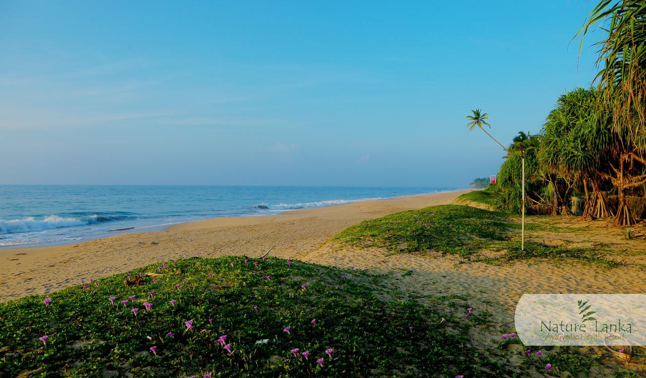 Nature Lanka Ayurveda Resort - All Meals And Ayurveda Treatments With Yoga 탕갈레 외부 사진