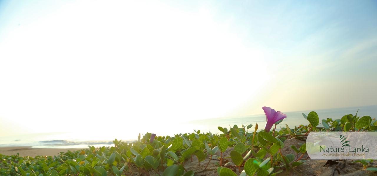 Nature Lanka Ayurveda Resort - All Meals And Ayurveda Treatments With Yoga 탕갈레 외부 사진