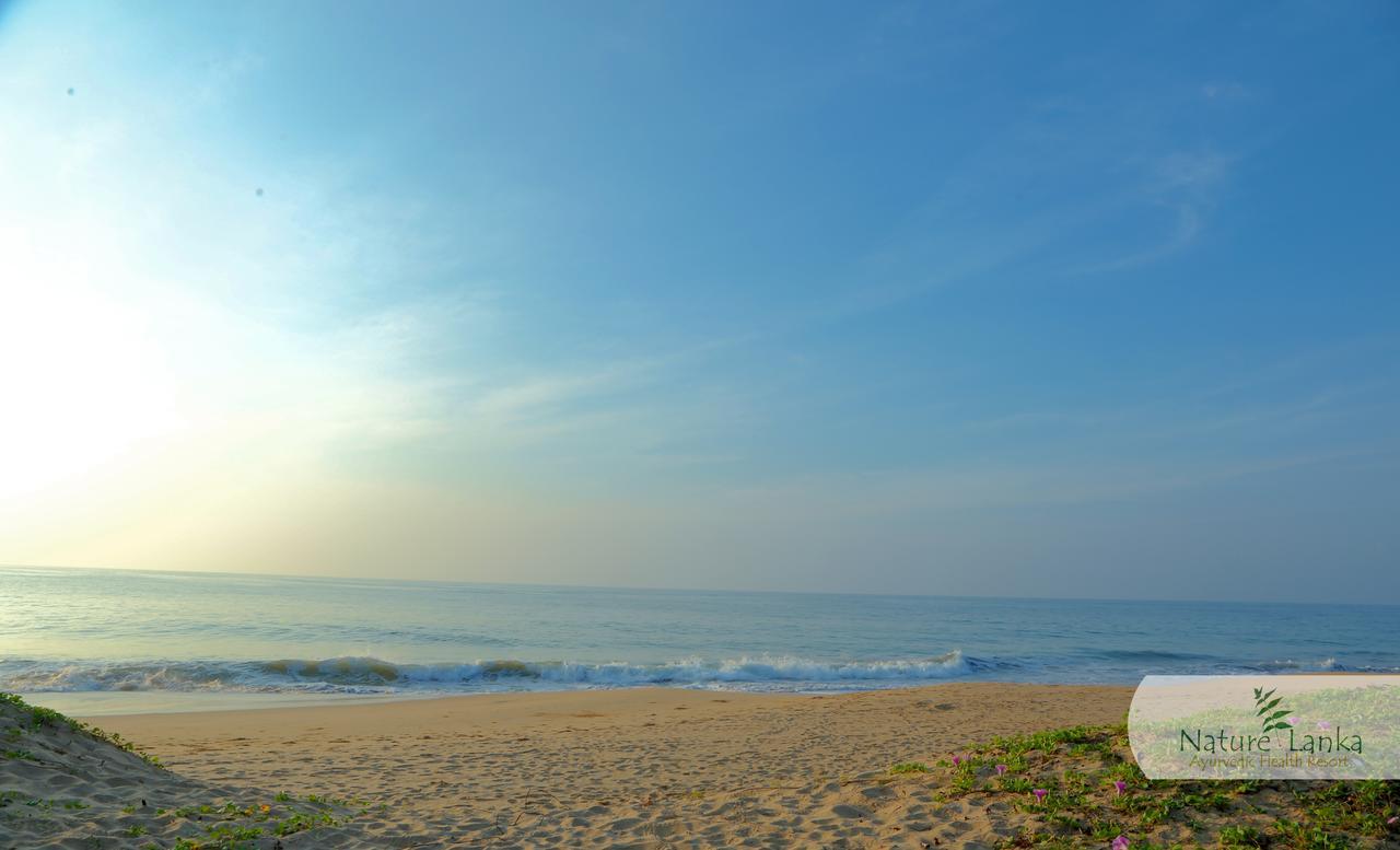 Nature Lanka Ayurveda Resort - All Meals And Ayurveda Treatments With Yoga 탕갈레 외부 사진