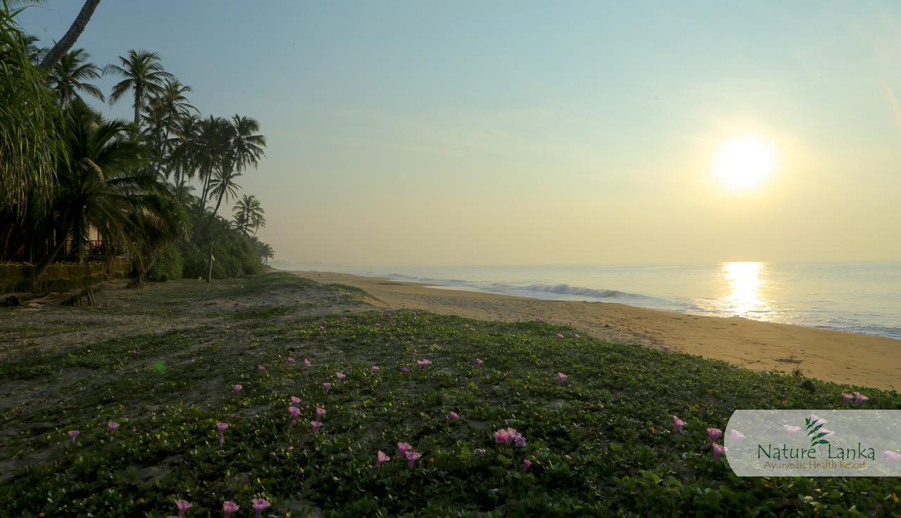 Nature Lanka Ayurveda Resort - All Meals And Ayurveda Treatments With Yoga 탕갈레 외부 사진