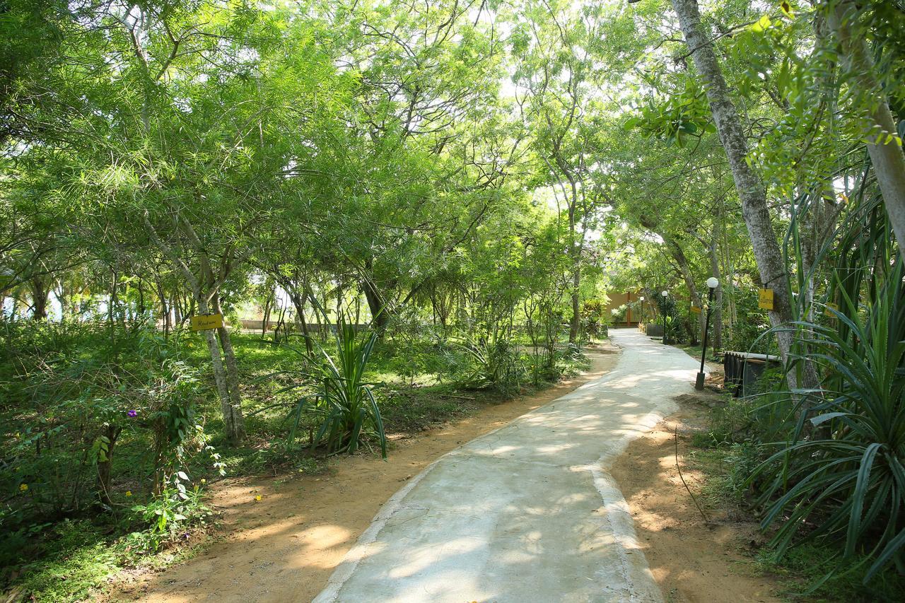 Nature Lanka Ayurveda Resort - All Meals And Ayurveda Treatments With Yoga 탕갈레 외부 사진