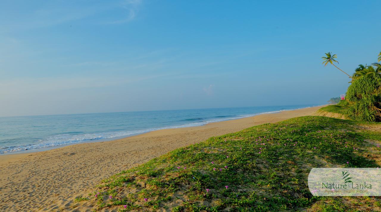 Nature Lanka Ayurveda Resort - All Meals And Ayurveda Treatments With Yoga 탕갈레 외부 사진