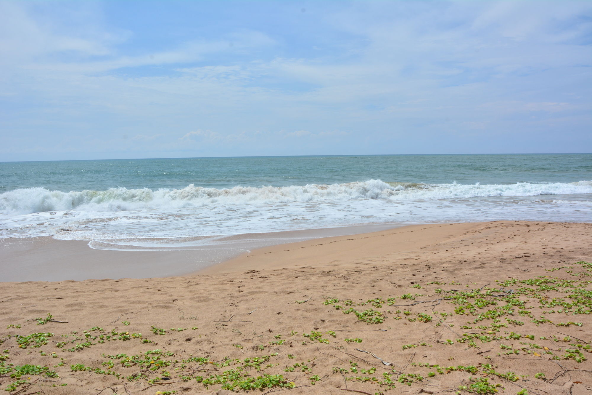 Nature Lanka Ayurveda Resort - All Meals And Ayurveda Treatments With Yoga 탕갈레 외부 사진
