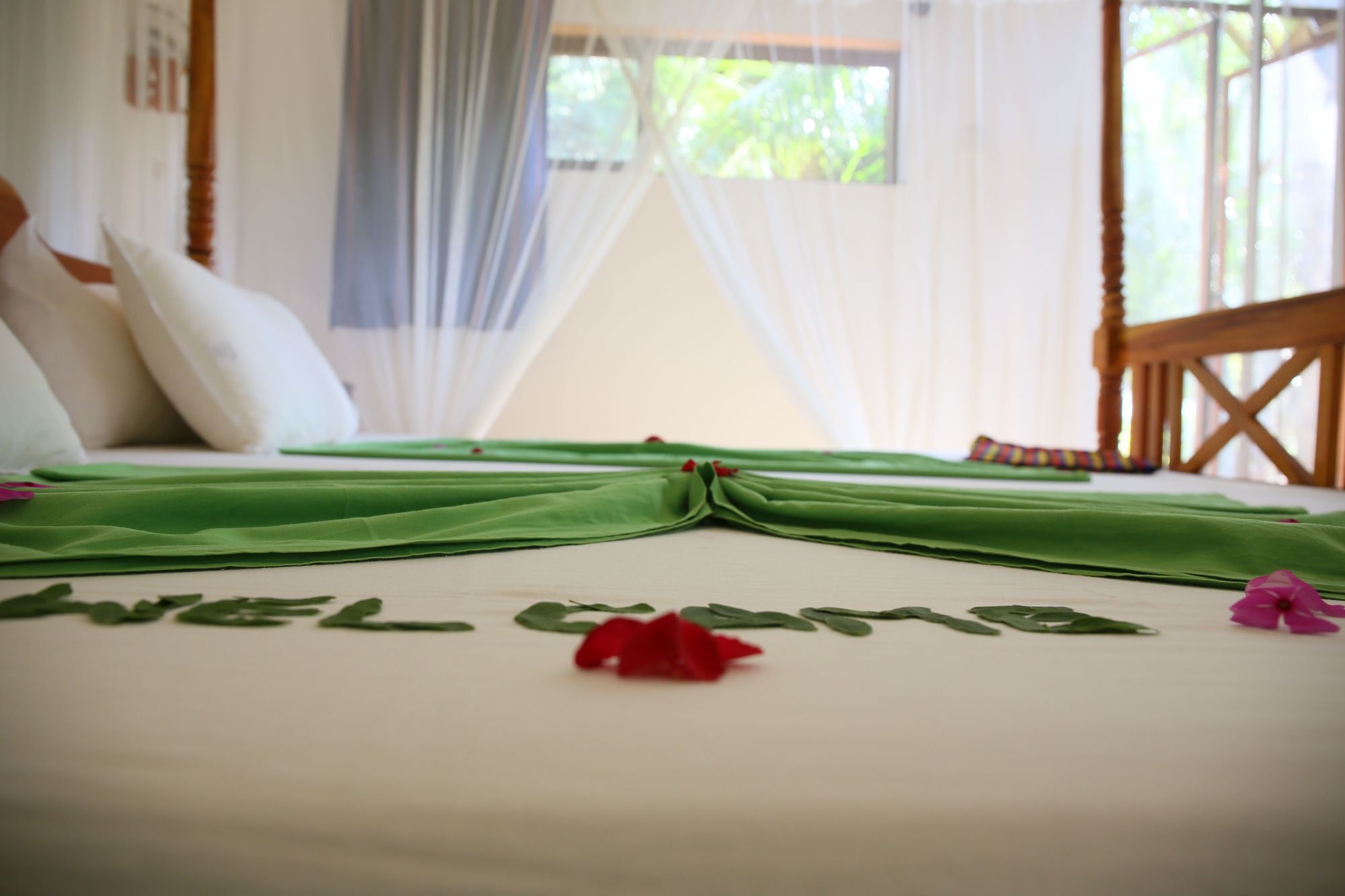 Nature Lanka Ayurveda Resort - All Meals And Ayurveda Treatments With Yoga 탕갈레 외부 사진