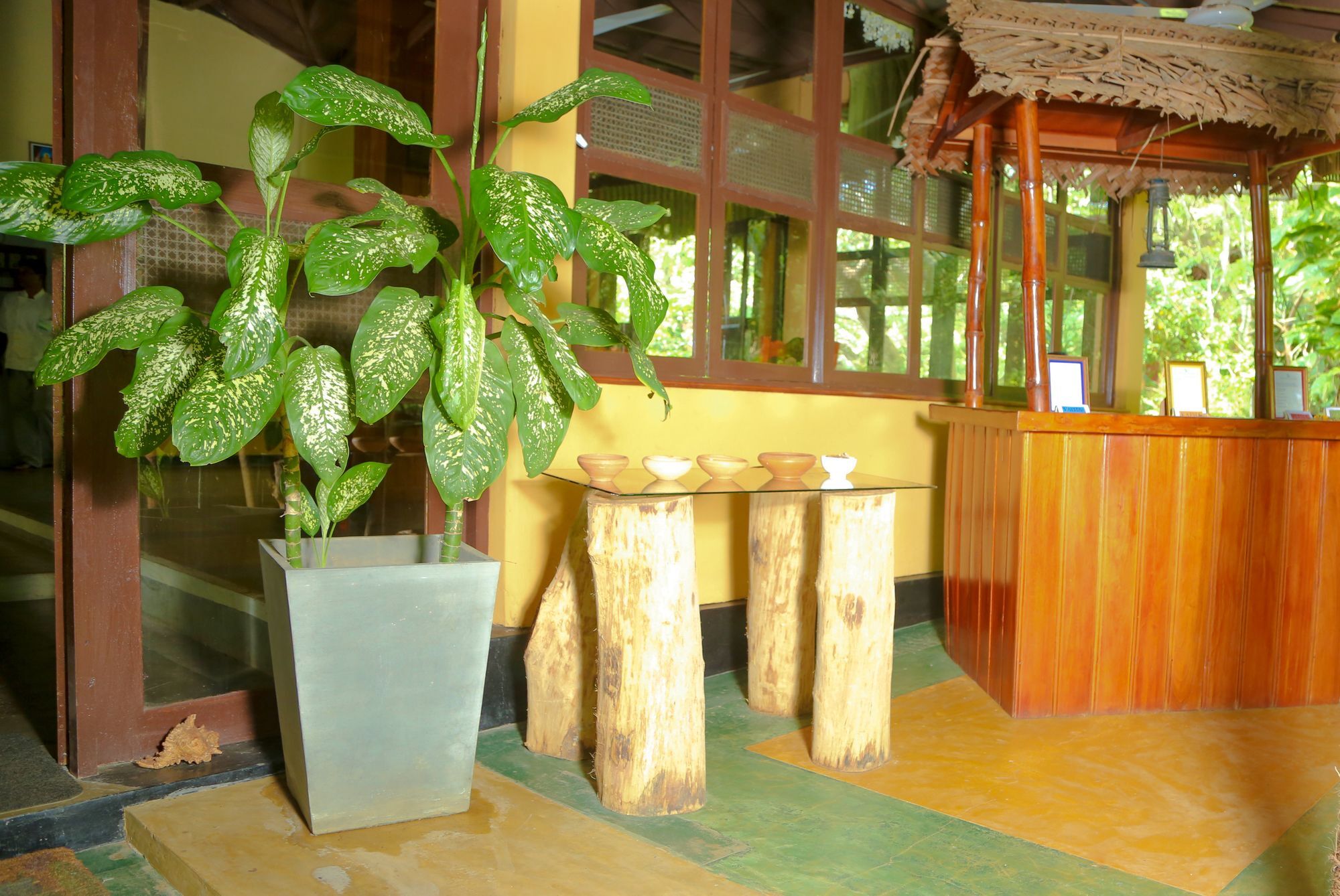 Nature Lanka Ayurveda Resort - All Meals And Ayurveda Treatments With Yoga 탕갈레 외부 사진